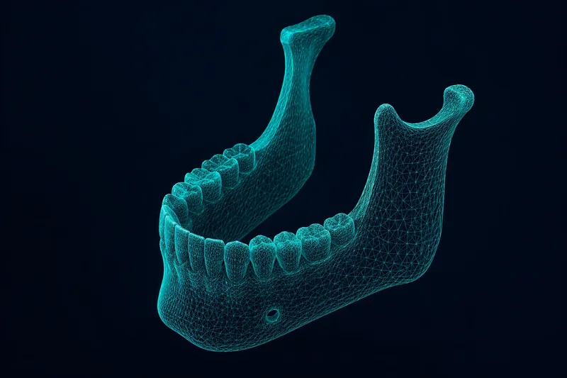Skaitmeninis dantų lanko 3D modelis kompiuterio ekrane